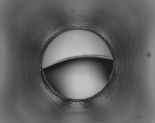 X0000091000450200708021228