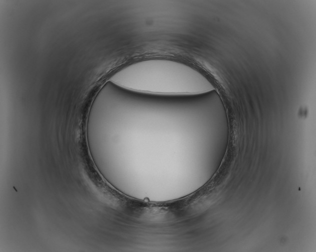 X0000091000451200708021228