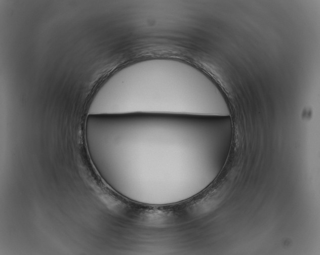 X0000091000453200708021228