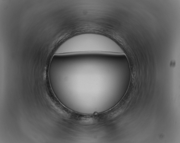 X0000091000454200708021228