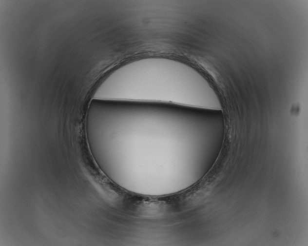 X0000091000455200708021229