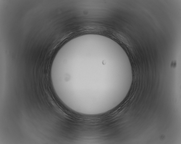 X0000091000456200708021229