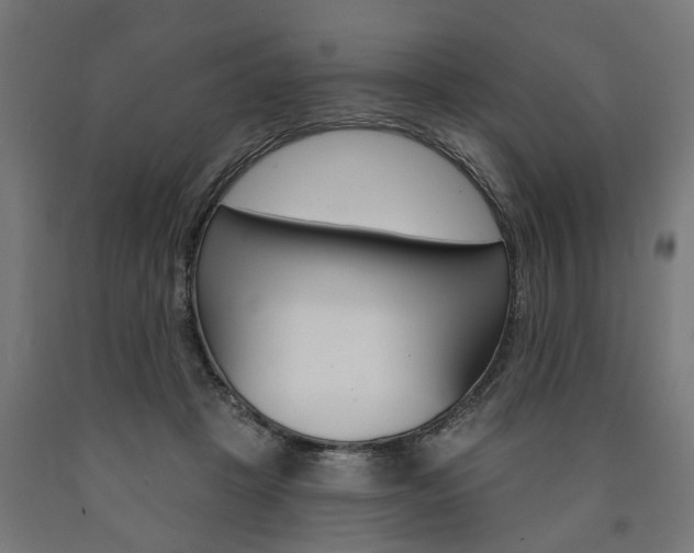 X0000091000457200708021229