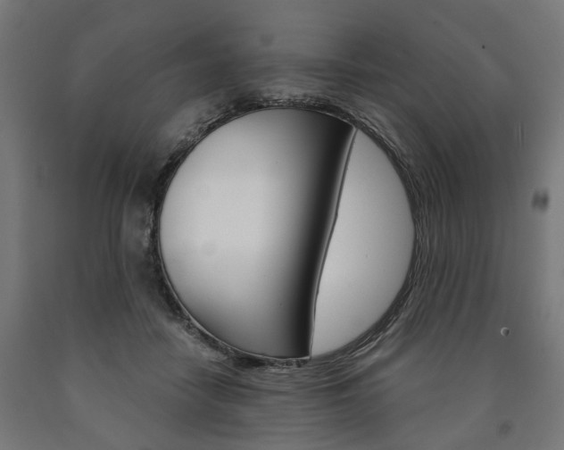 X0000091000458200708021229