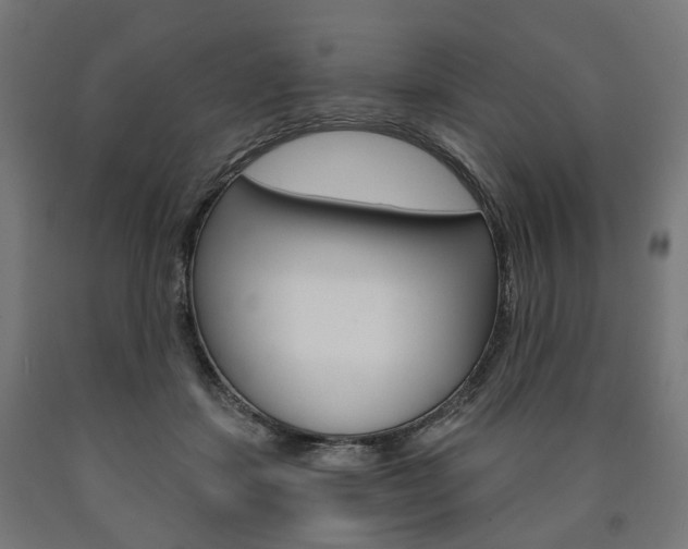 X0000091000459200708021229