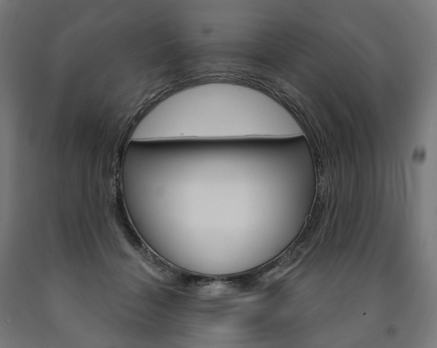 X0000091000460200708021229
