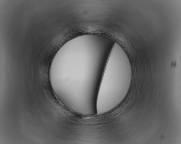 X0000091000461200708021229