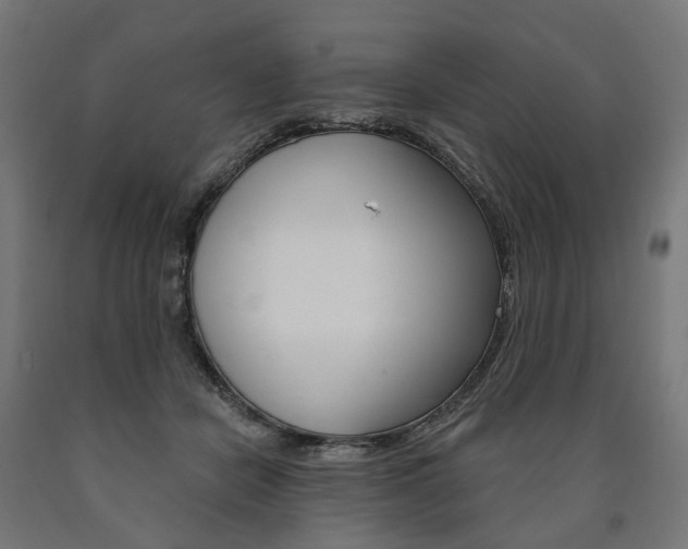 X0000091000462200708021229