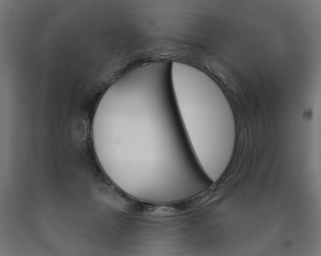 X0000091000463200708021229