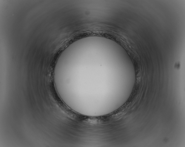X0000091000464200708021229