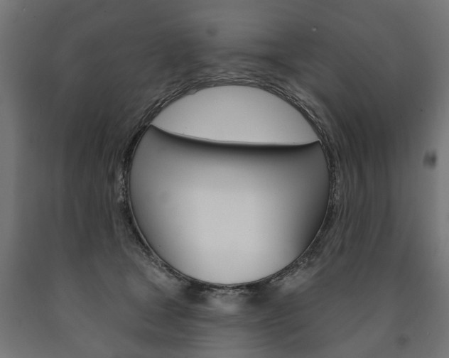 X0000091000465200708021229
