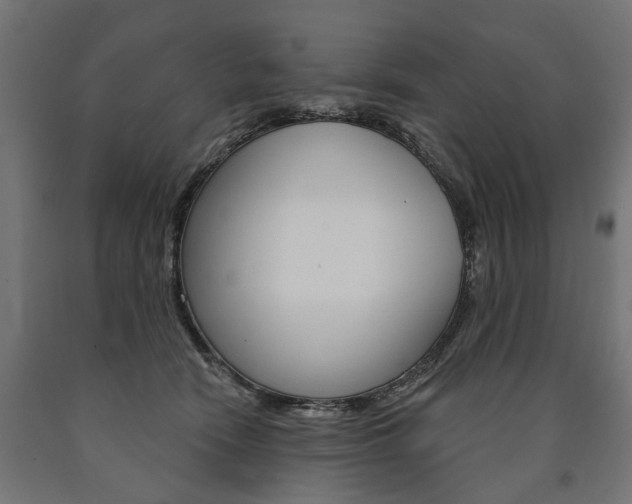 X0000091000466200708021229