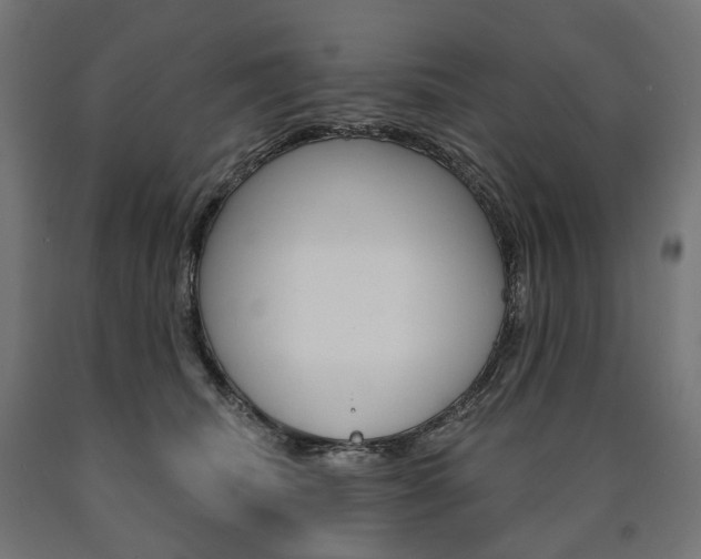 X0000091000468200708021229