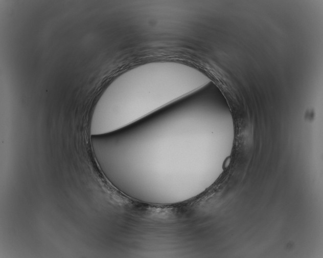 X0000091000469200708021229