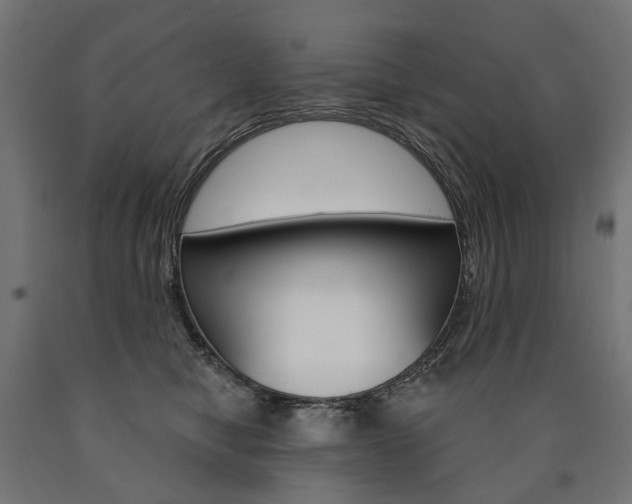 X0000091000470200708021229
