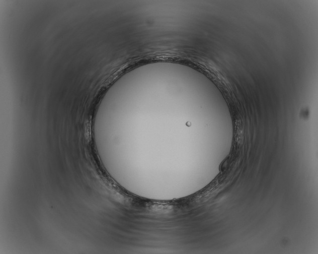 X0000091000471200708021229