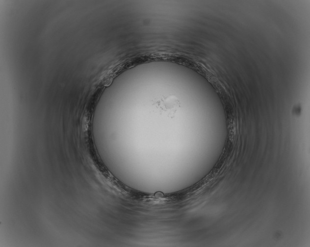 X0000091000472200708021229