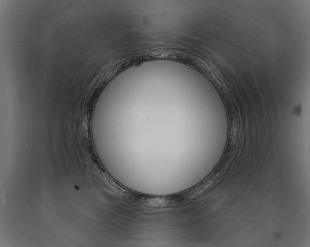 X0000091000473200708021229