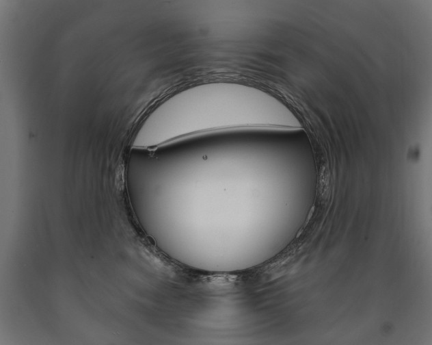 X0000091000474200708021229