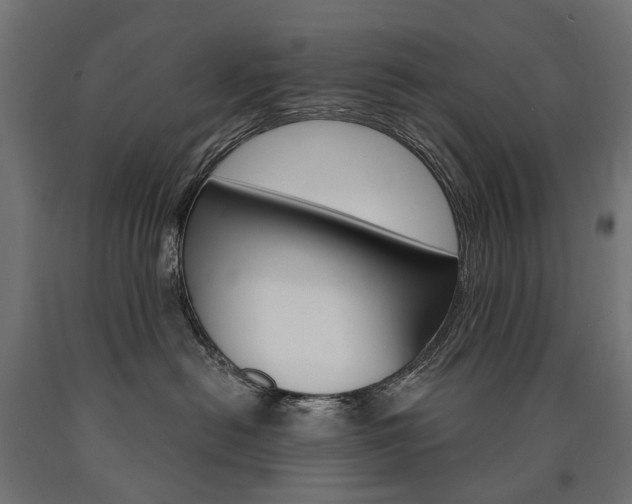 X0000091000478200708021229