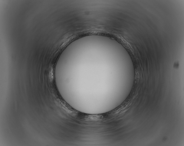 X0000091000479200708021229
