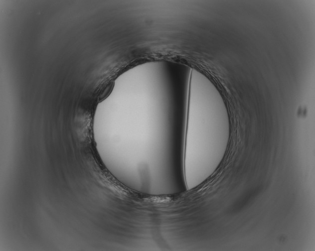 X0000091000480200708021229