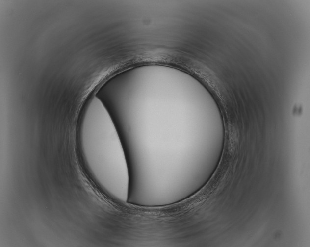 X0000091000482200708021228