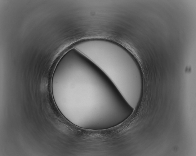 X0000091000483200708021228