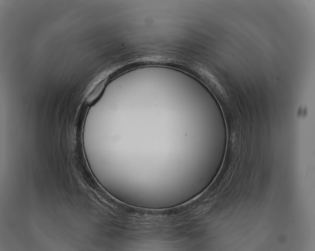 X0000091000484200708021228