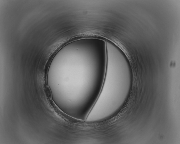 X0000091000485200708021228