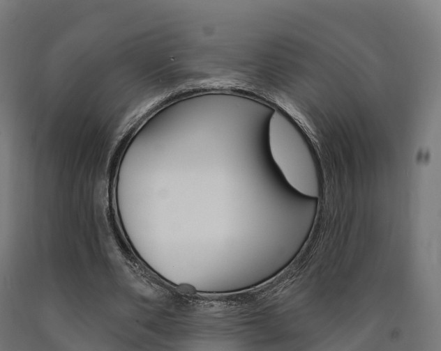 X0000091000486200708021228