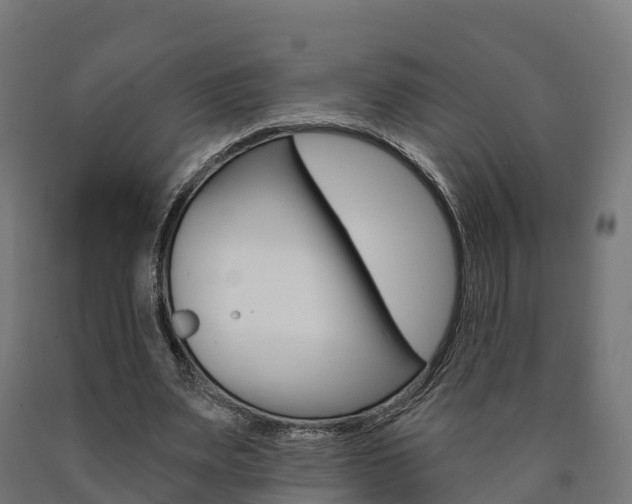 X0000091000487200708021228