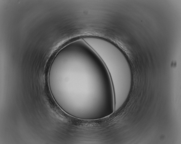 X0000091000488200708021228