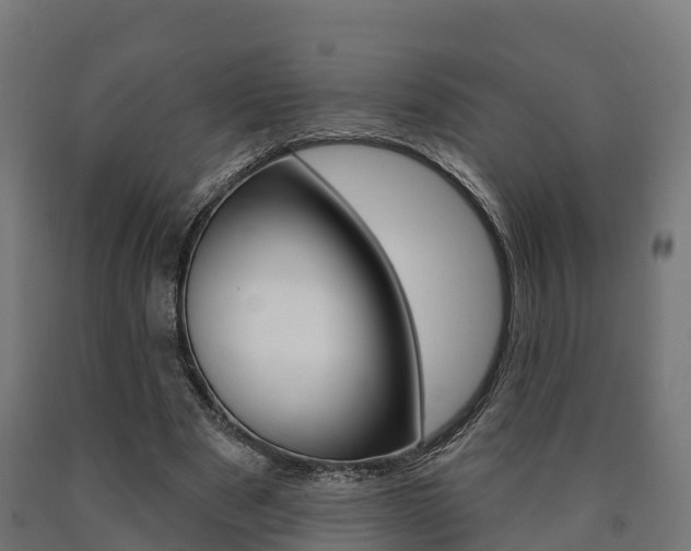 X0000091000489200708021228