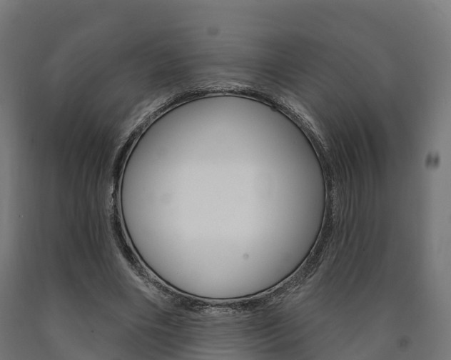 X0000091000490200708021228