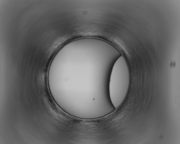 X0000091000491200708021228