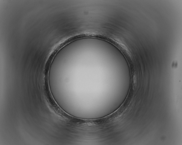 X0000091000492200708021228