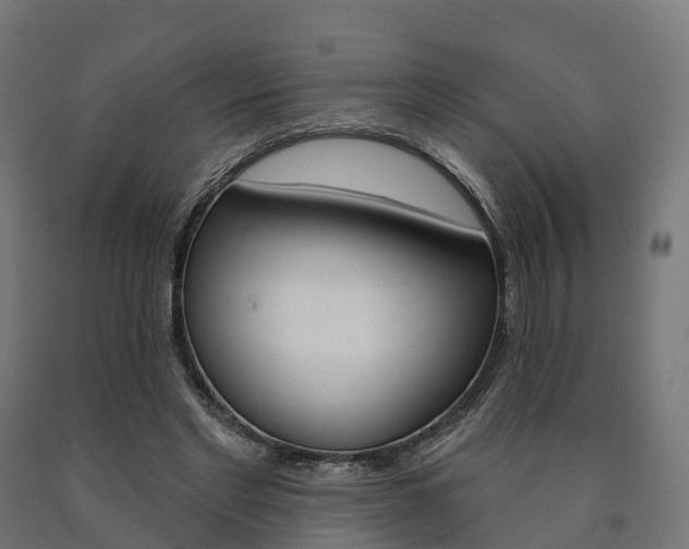 X0000091000493200708021228