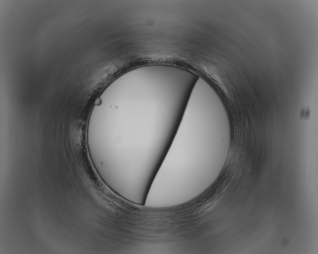 X0000091000495200708021228