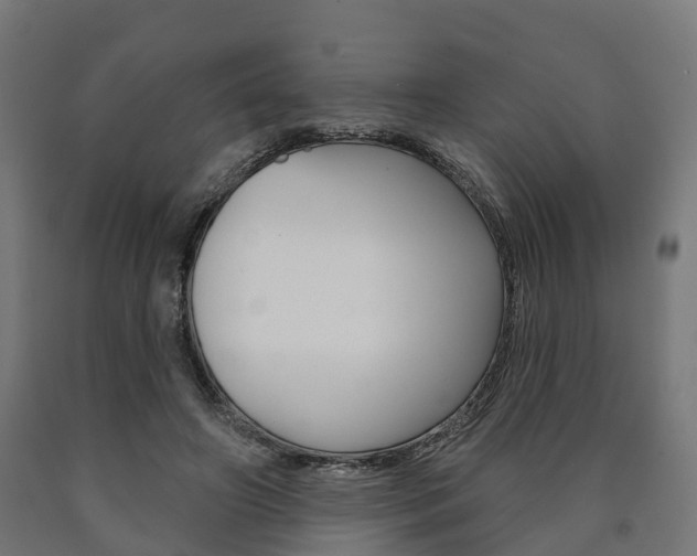 X0000091000498200708021228