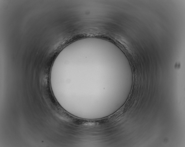 X0000091000499200708021228