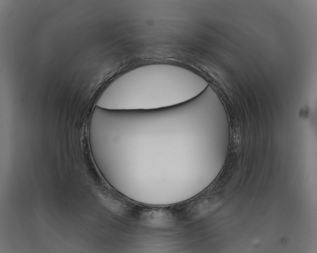 X0000091000503200708021228