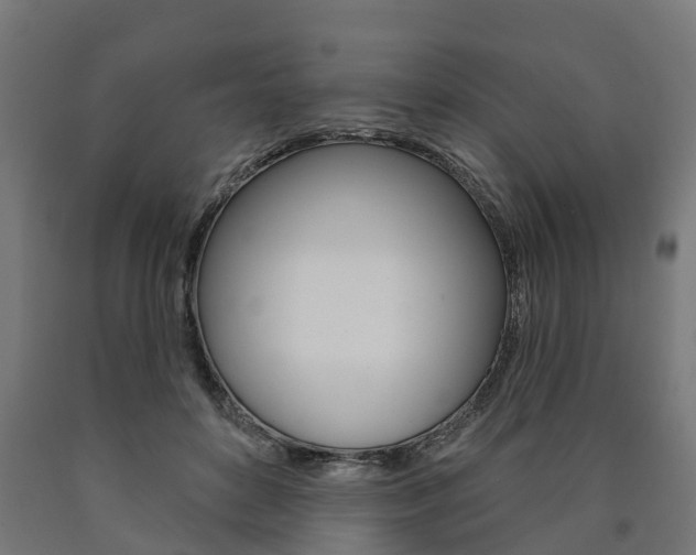 X0000091000504200708021228