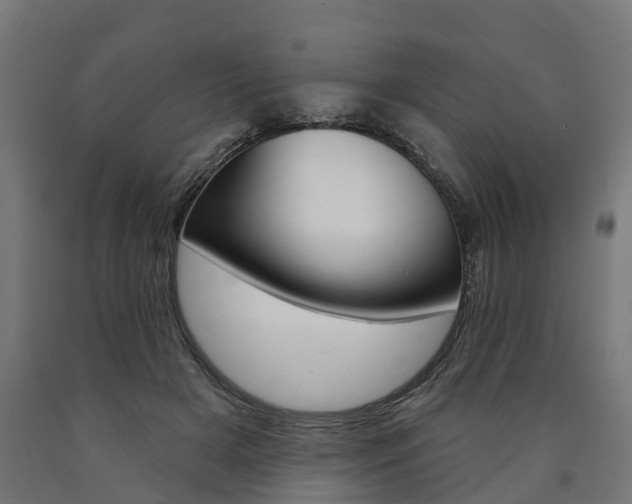 X0000091000505200708021228