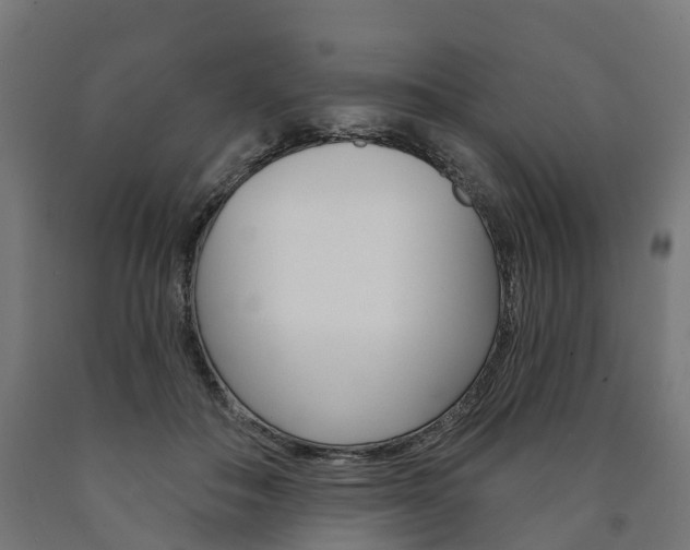 X0000091000506200708021228