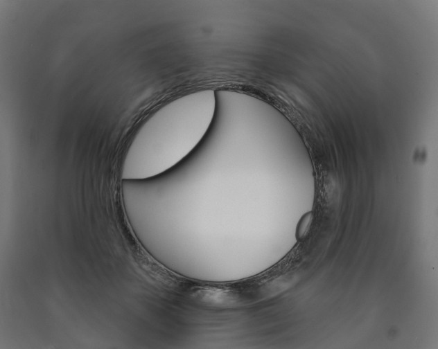 X0000091000507200708021228