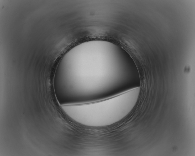 X0000091000508200708021228