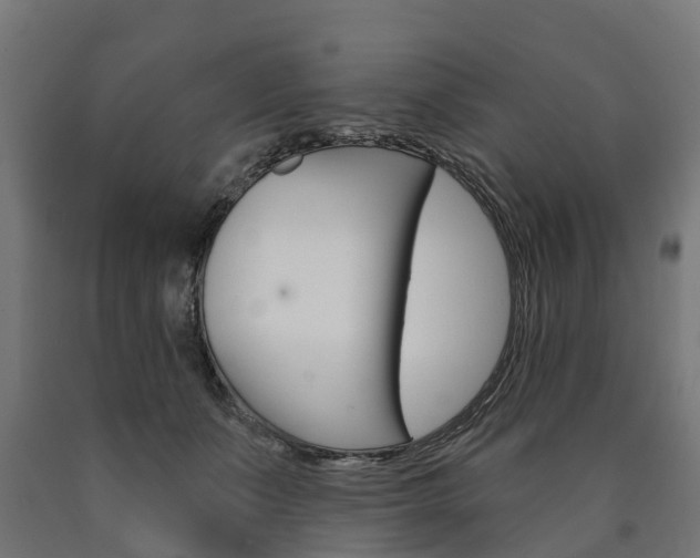 X0000091000511200708021228