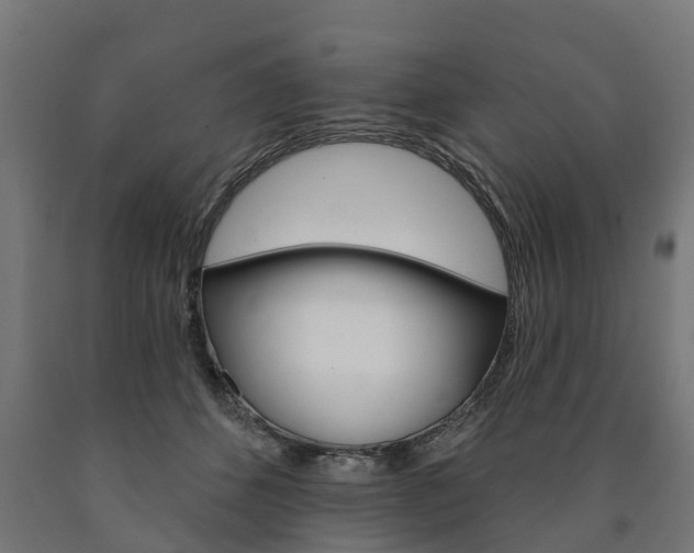 X0000091000512200708021228