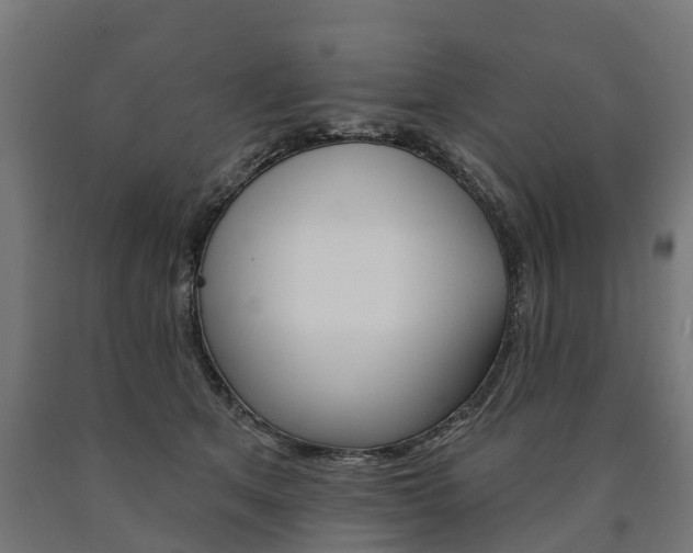 X0000091000513200708021228